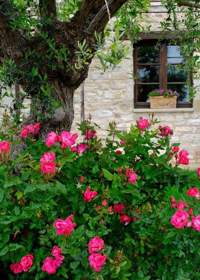 Vila Le Mandrie Di San Paolo Assisi Exteriér fotografie