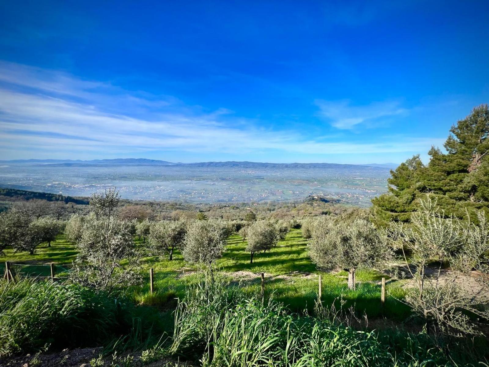Vila Le Mandrie Di San Paolo Assisi Exteriér fotografie