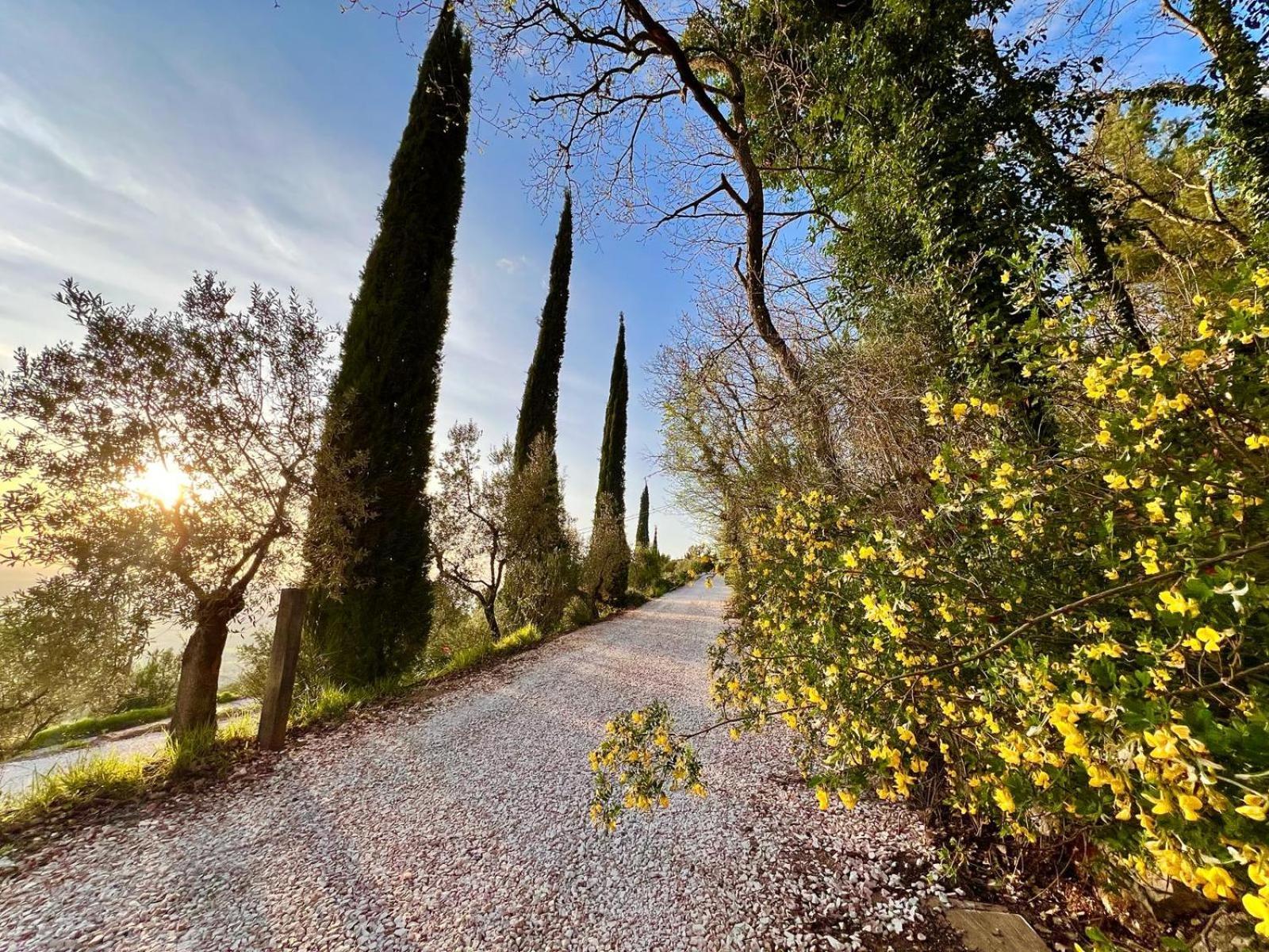 Vila Le Mandrie Di San Paolo Assisi Exteriér fotografie
